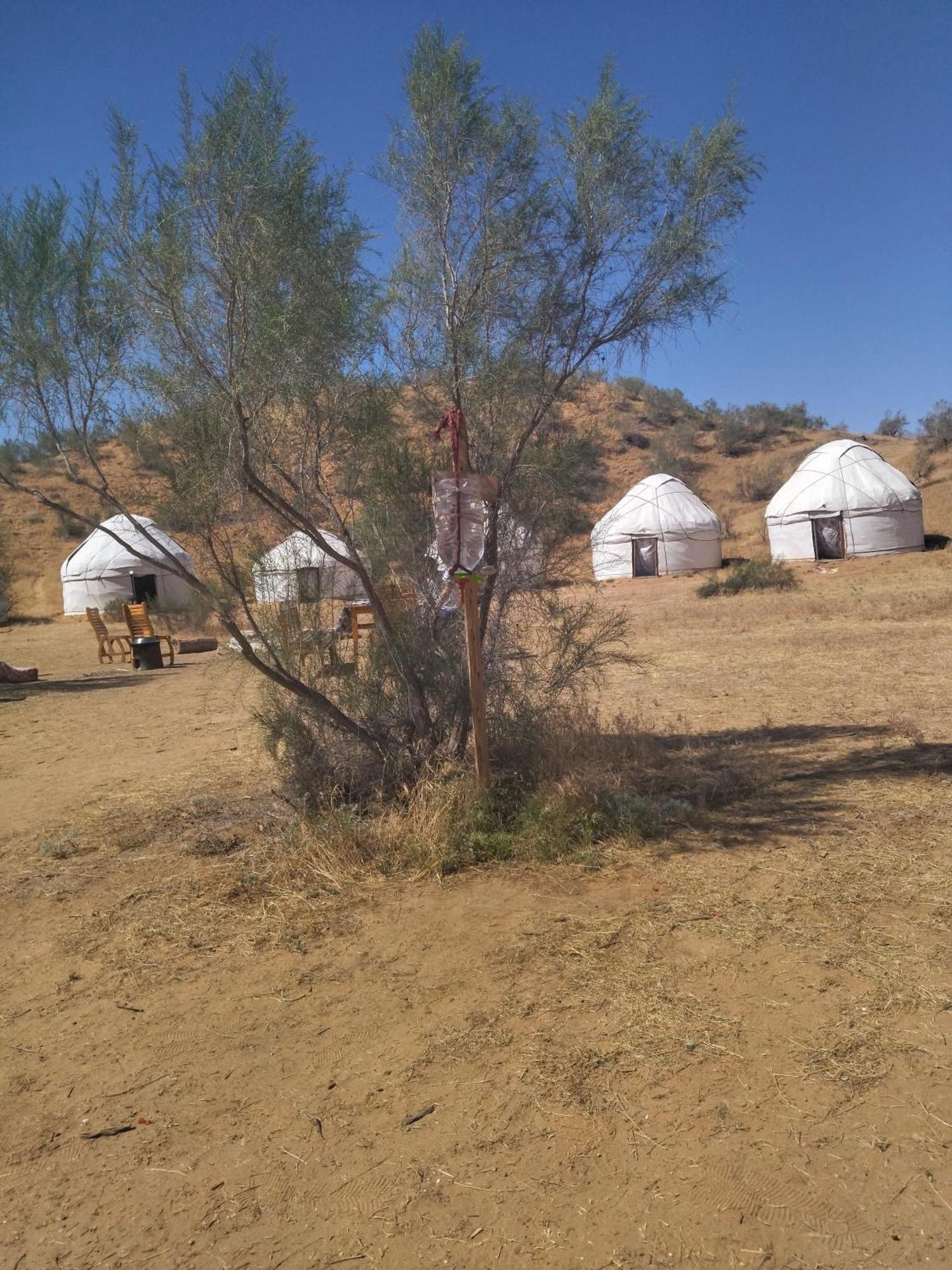 Отель Authentic Uzbek Yurt Camp Eco-Friendly Nurota Экстерьер фото